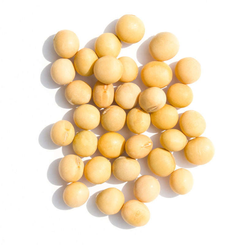 Soybean (메주콩) 2lb, 4lb